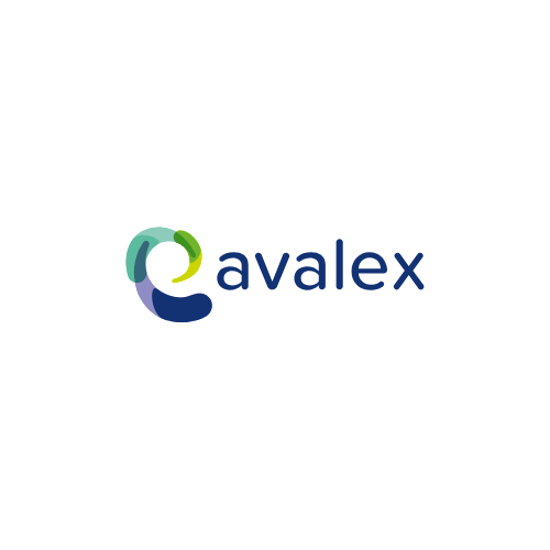 Avalex is klant bij Clever Consultancy